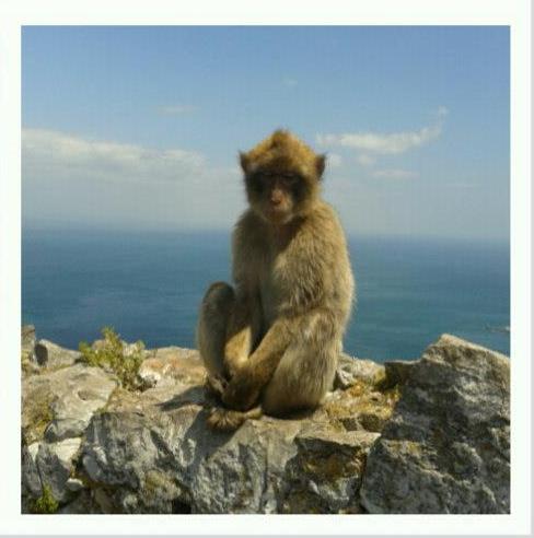 Gibilterra, Apes Cave